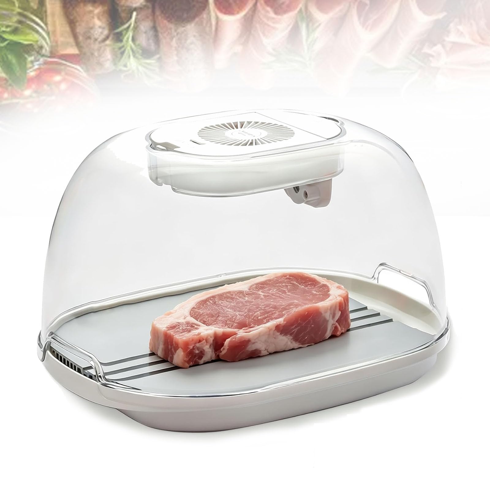VILA SMO Electric Food Defrosting Box 6.2l, Cordless Frozen Meat Thawing Tray,with 1800mah Battery & Airflow Technology, For Frozen Steak, Chicken, Fish, Shrimp & Seafood