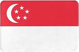 Welcome Doormat Flag of Singapore Mat for Front Non-Slip Door Indoor Outdoor Porch Entrance Entryway Outside for Men Women Gift 16x24 Inches