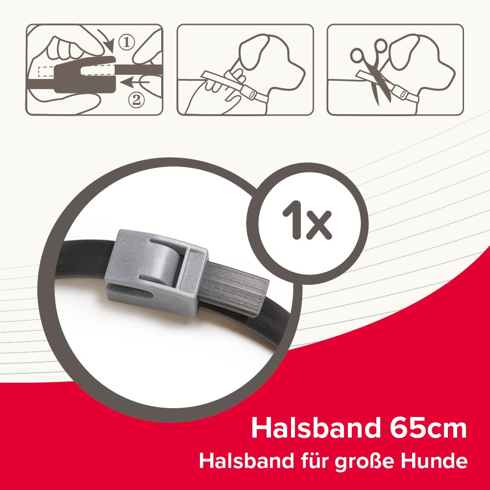 BEAPHAR - Canishield Halsband Fr Groe Hunde - Anhaltenden Schutz Gegen  Flhe, Zecken Und Sandmcken Fr Bis Zu 6 Monate - 1 Stck : Amazon.de:  Haustier