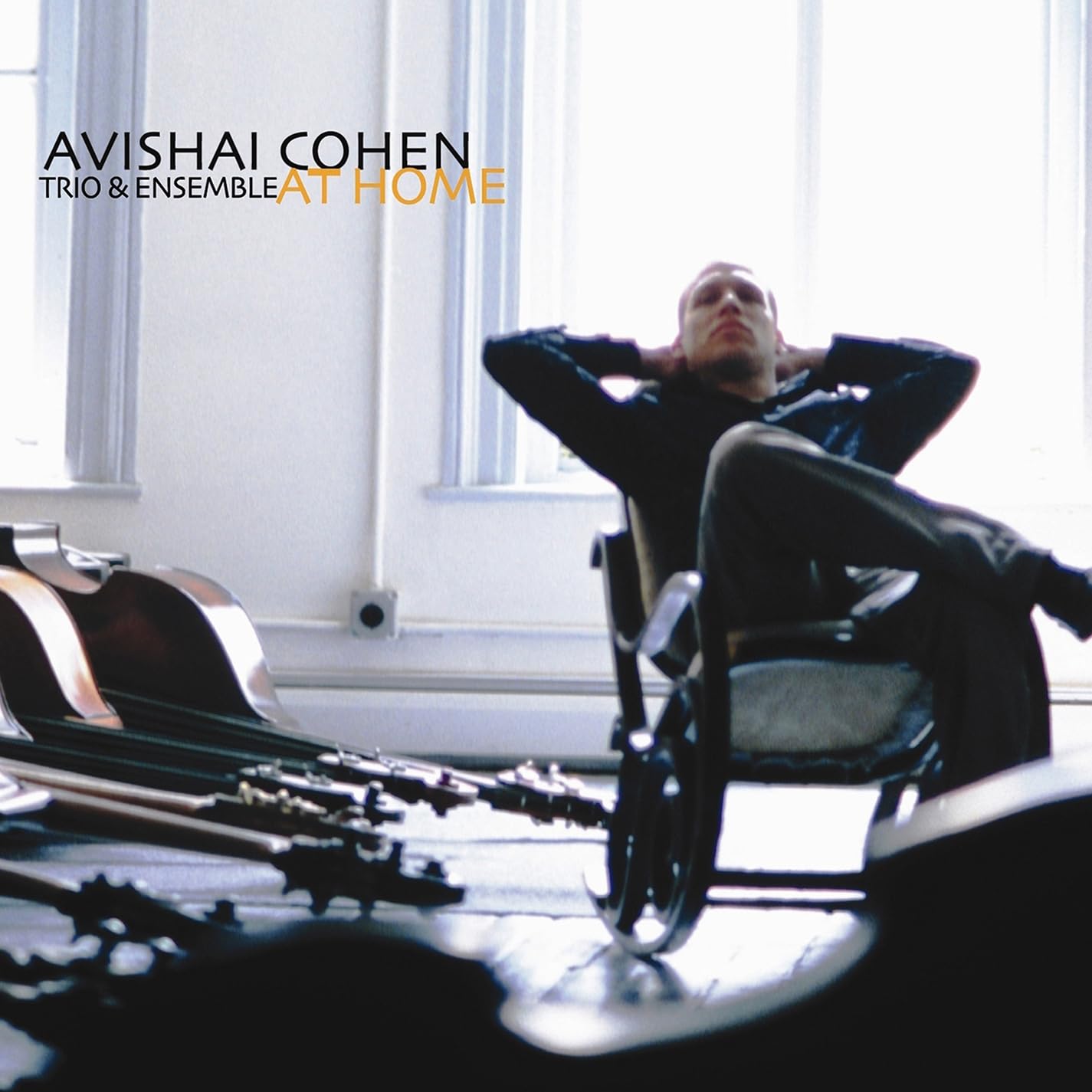 At Home [VINYL]