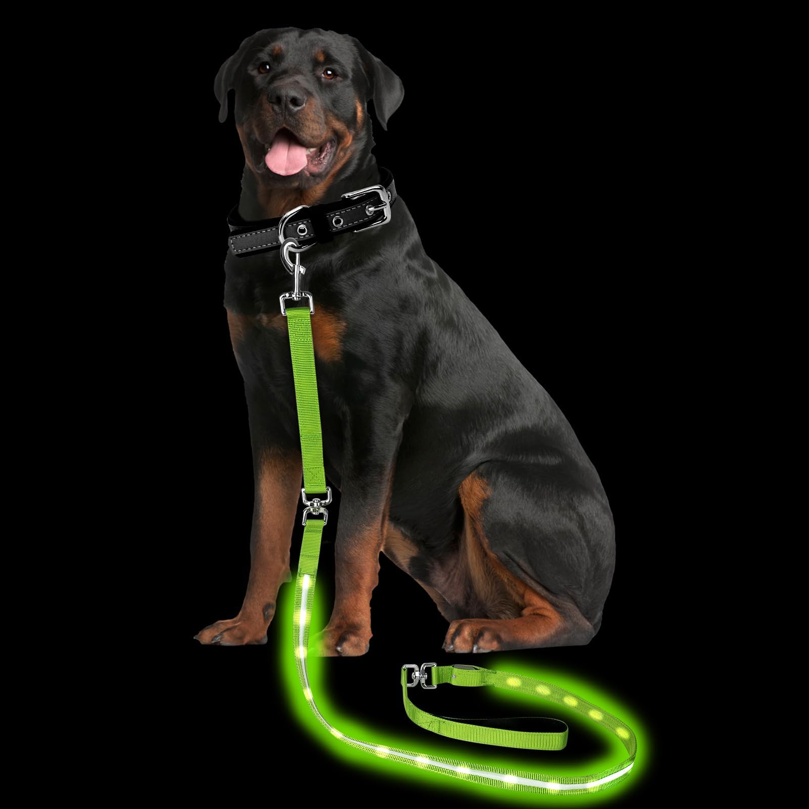 PetIsay Light up Dog Leash for Night Walking - USB-C Rechargeable, Waterproof - 6FT(Green)