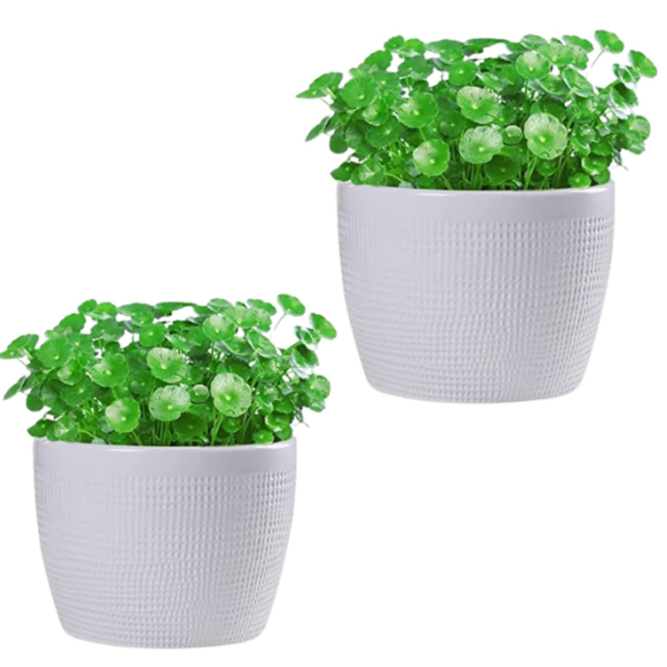 Garden Art Ceramic Pot Pack of-2 (17x17x12.5cm) Flower Pots with Drainage Holes, Round Indoor Pot for Plants Ceramic Planters, Indoor/Outdoor Garden Pots (GA20064-W) (B0BN1WVFTS) Amazon Price History, Amazon Price Tracker