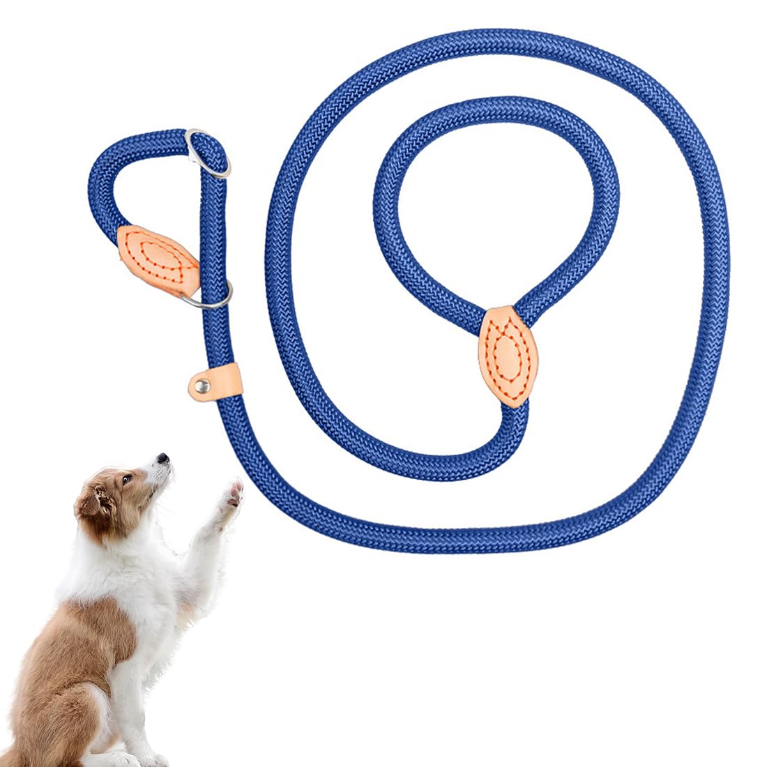 SSRDFU Correa de Cuerda para Perro pequeño - Correa de Lazo para Perro sin Tirar, Control de Correa Deslizante, con Conector de Metal Ajustable en Forma de P, Azul