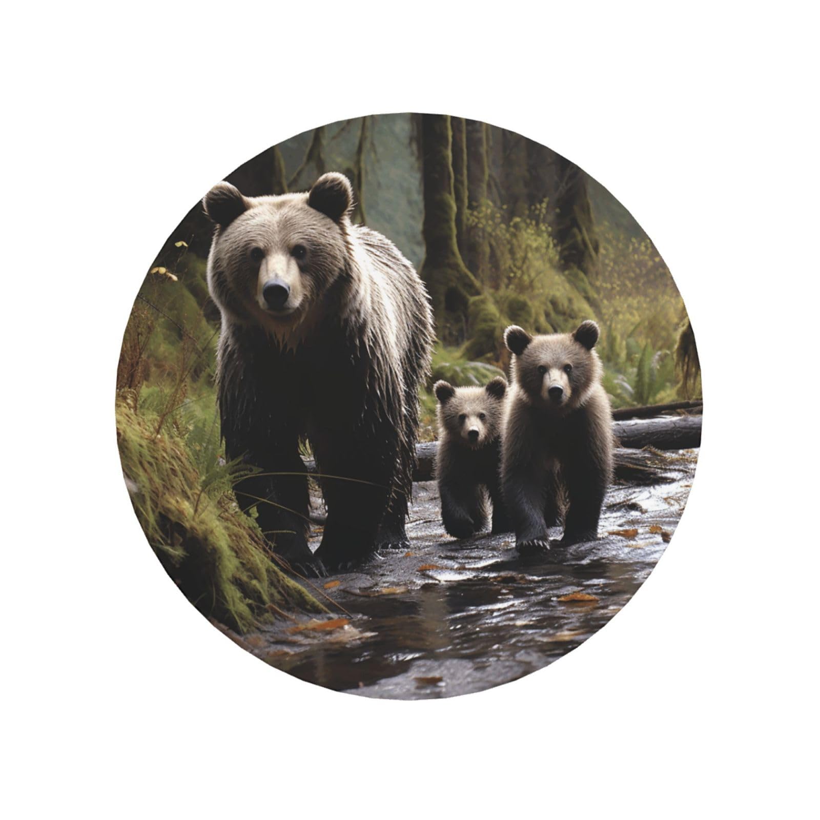Fodpand Round Shape Mother Bear And Her Cubs Fridge Magnets, Strong Small Refrigerator Magnets Decorative Magnets For Kitchen Fridge Office Locker - Funny Magnetic Stickers Birthday Gifts