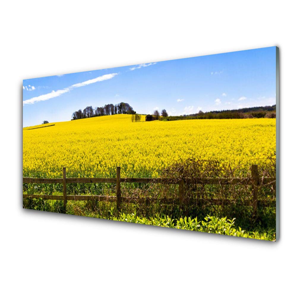 Tableau en verre trempé 100x50cm de champ paysage pour décoration murale