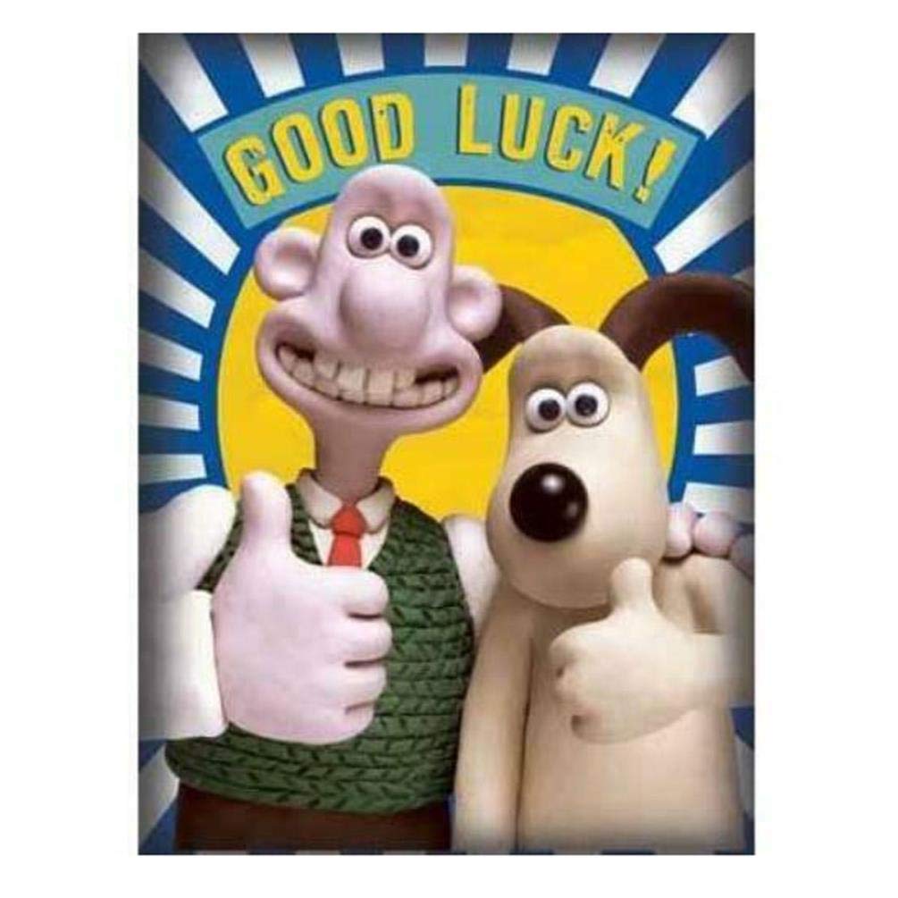 Wallace and Gromit Male/Female Good Luck Card from The Aardman Animations Range - Thumbs Up - Greeting Card for Him/for Her