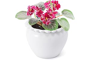 African Violet Self Watering Pots - Ceramic Flower Pots with Simple Design for Indoor Flowers