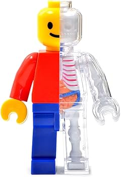 4D Master Brick Man Funny Anatomy By Jason Freeny : Amazon.sg: Toys