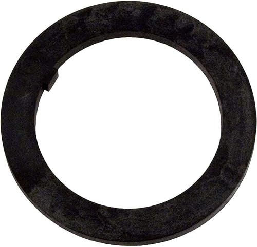 Pentair 154416 Filtro de arena comercial Triton II de repuesto para espaciador interno de 2 pulgadas para piscina y spa