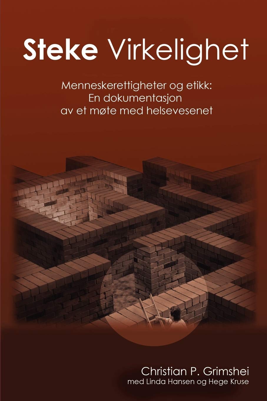 Steke Virkelighet - Menneskerettigheter Og Etikk: En Dokumentasjon Av Et Mote Med Helsevesenet
