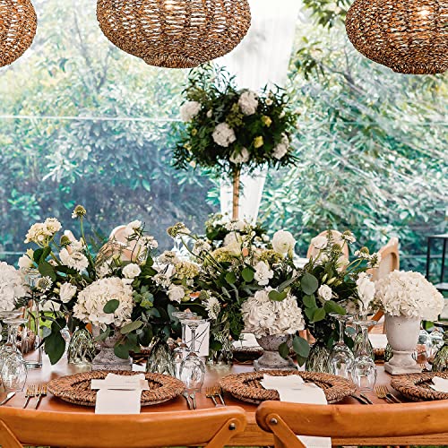 Farm Fresh Natural Silver Dollar Eucalyptus - 40 Stems #TOP3