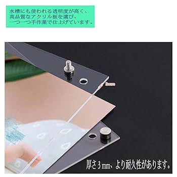 Amazon.co.jp: フォトフレーム 選べる サイズ 日本製 おしゃれ