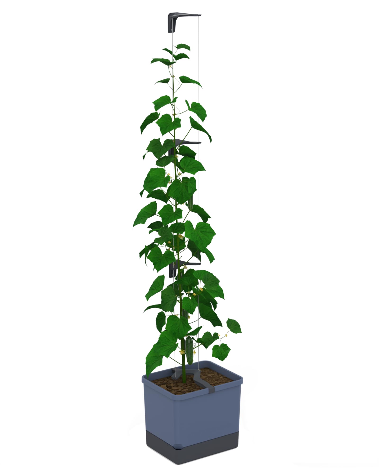 GUSTA GARDEN Curt Cucumber Pot - Plant Pot with Trellis for Cucumber Irrigation System (Blue)