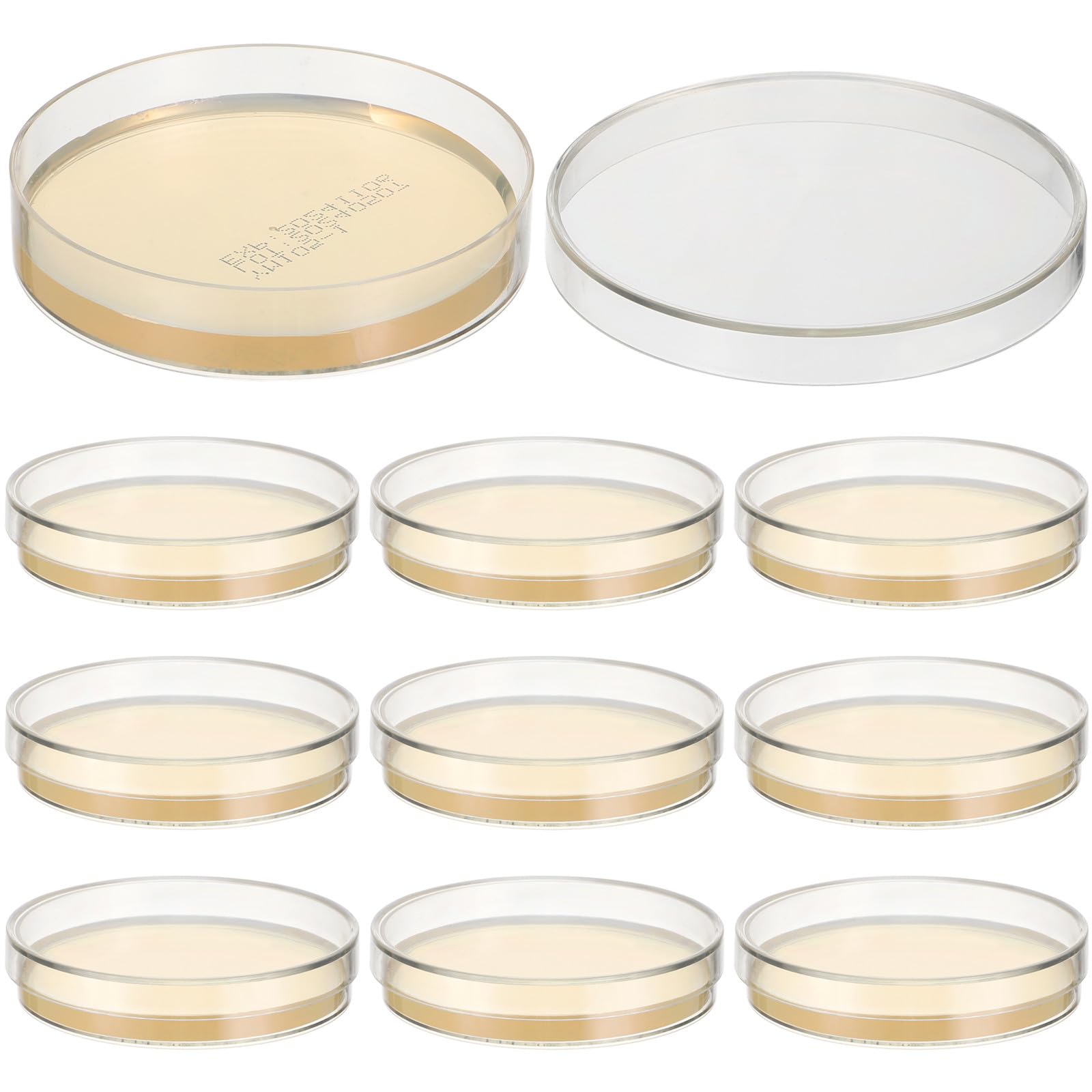 SEWACC 10 Vorgegossene 7cm Petrischalen mit Nähragarplatten aus Agar für Naturwissenschaftliche Experimente in Schule Einfach zu Verwenden für Schüler