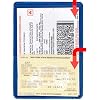 StoreSMART - Metallic Blue -Back Auto Insurance & ID Card Holders - 5 Pack - RFS20-MB5