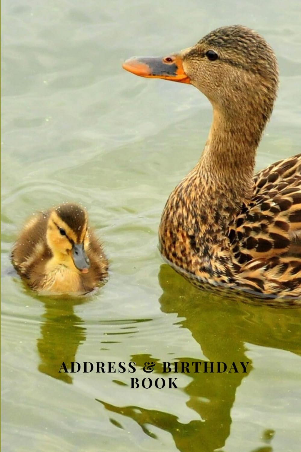 Address & Birthday Book: Duck & Duckling | Address & Birthday Book for Names, Addresses, Phone Numbers, E-mails