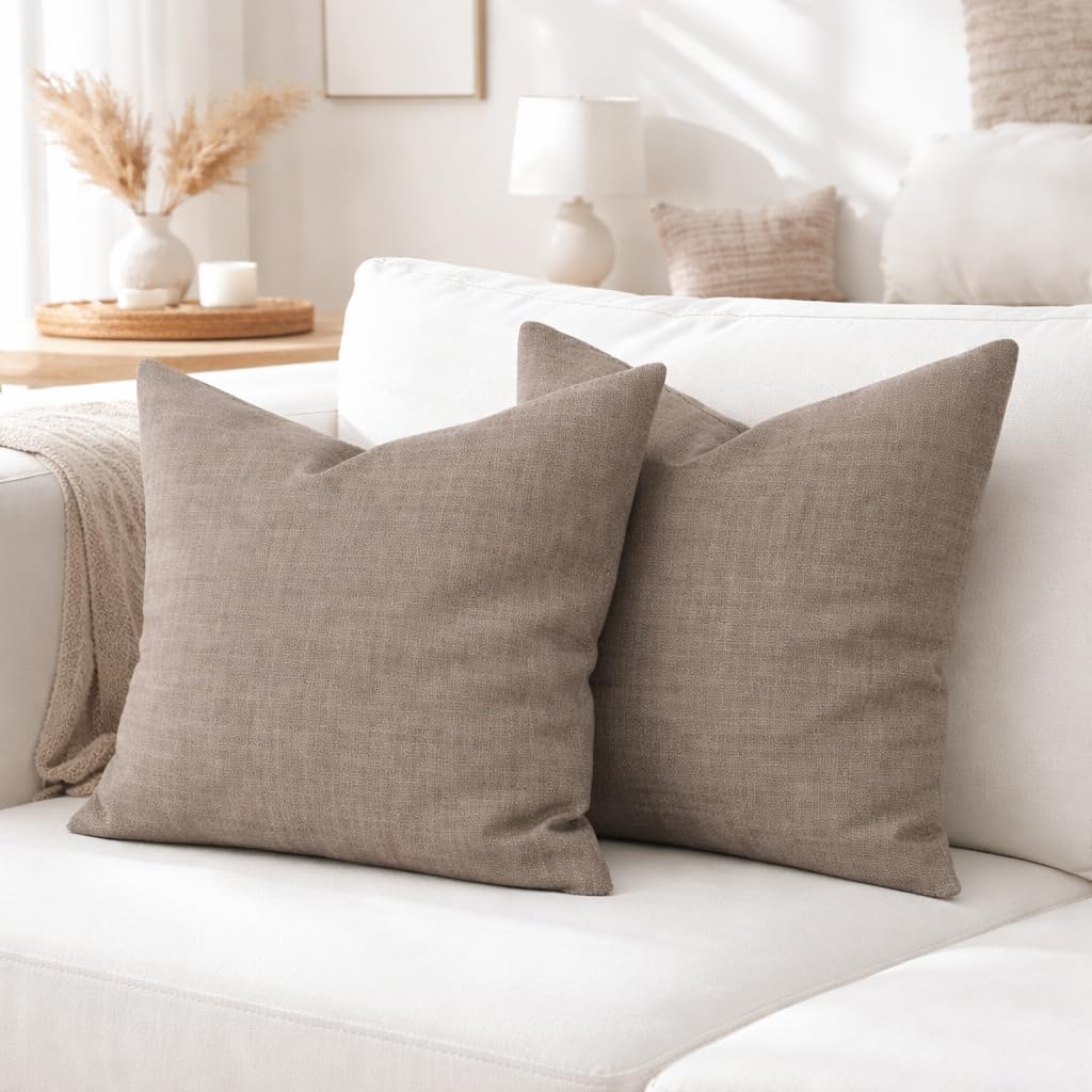 Homescapes Set Di 2 Federe In Velluto Per Cuscini 40x40 Cm – Con Chiusura Lampo, Morbido Velluto Di Cotone, Grigio, Eleganti Per Divano E Letto