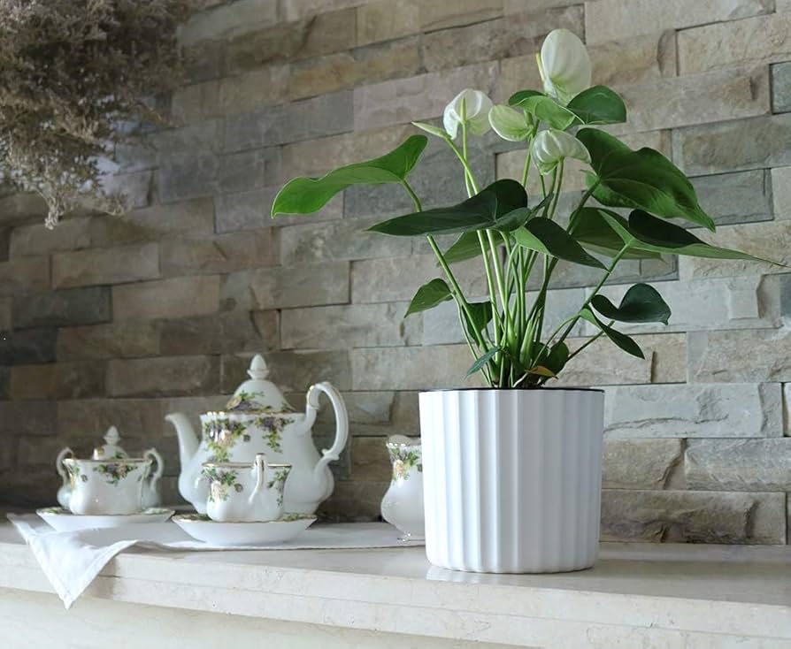 6-Pack Self Watering Planters And Pots For Indoor Plants 7