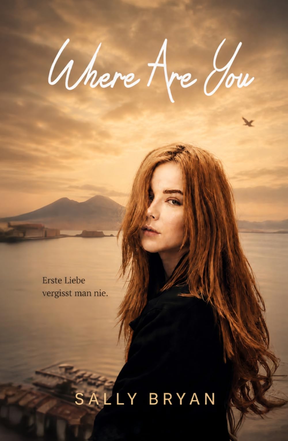 Where Are You: Eine lesbische Second-Chance-Romance