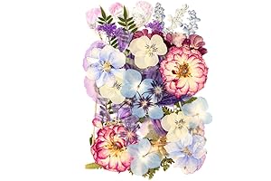 35+Pcs Purple Real Dried Pressed Flowers for Resin