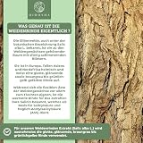 QIDOSHA® Weidenrindenextrakt mit 25% Salicin, 180 Kapseln im Apothekerglas, Wirkstoff-Gehalt in externem Labor testiert, 250mg je Kapsel, deutsche Fertigung