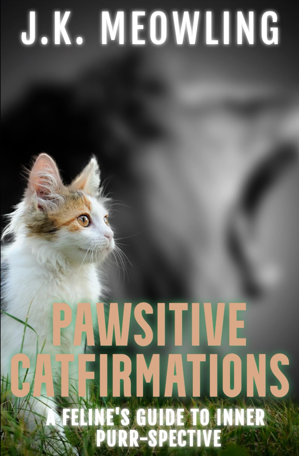 Pawsitive Catfirmations: A Feline's Guide To Inner Purr-spective: 500 Powerful Positive "I Am" Affirmations