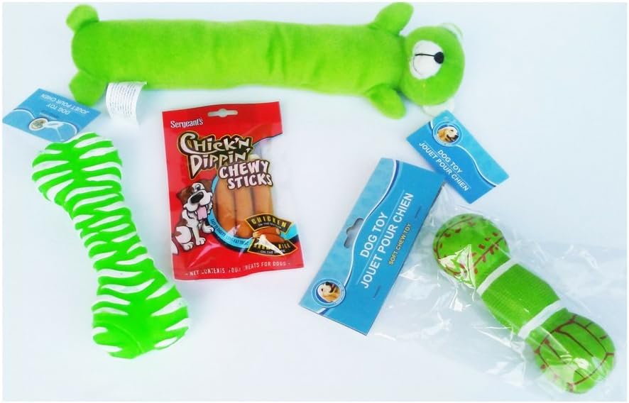 Squeaky Puppy Toys- Green Baseball Bone, Dog Bone, Soft Teddy Bear and Treats