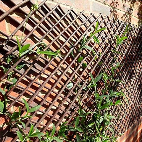Garden Mile Wooden Expanding Trellis for Climbing Plants Cover