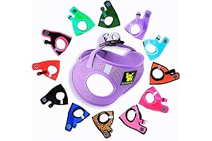 EcoBark Dog Harness: XS to XXXS Easy Wear Mesh Harness for Petite Pups