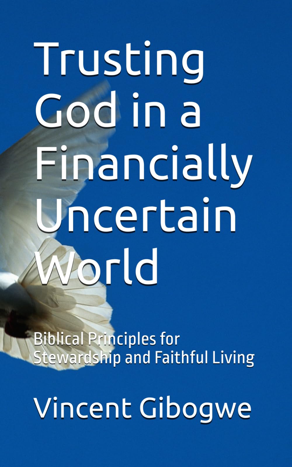 Trusting God in a Financially Uncertain World: Biblical Principles for Stewardship and Faithful Living
