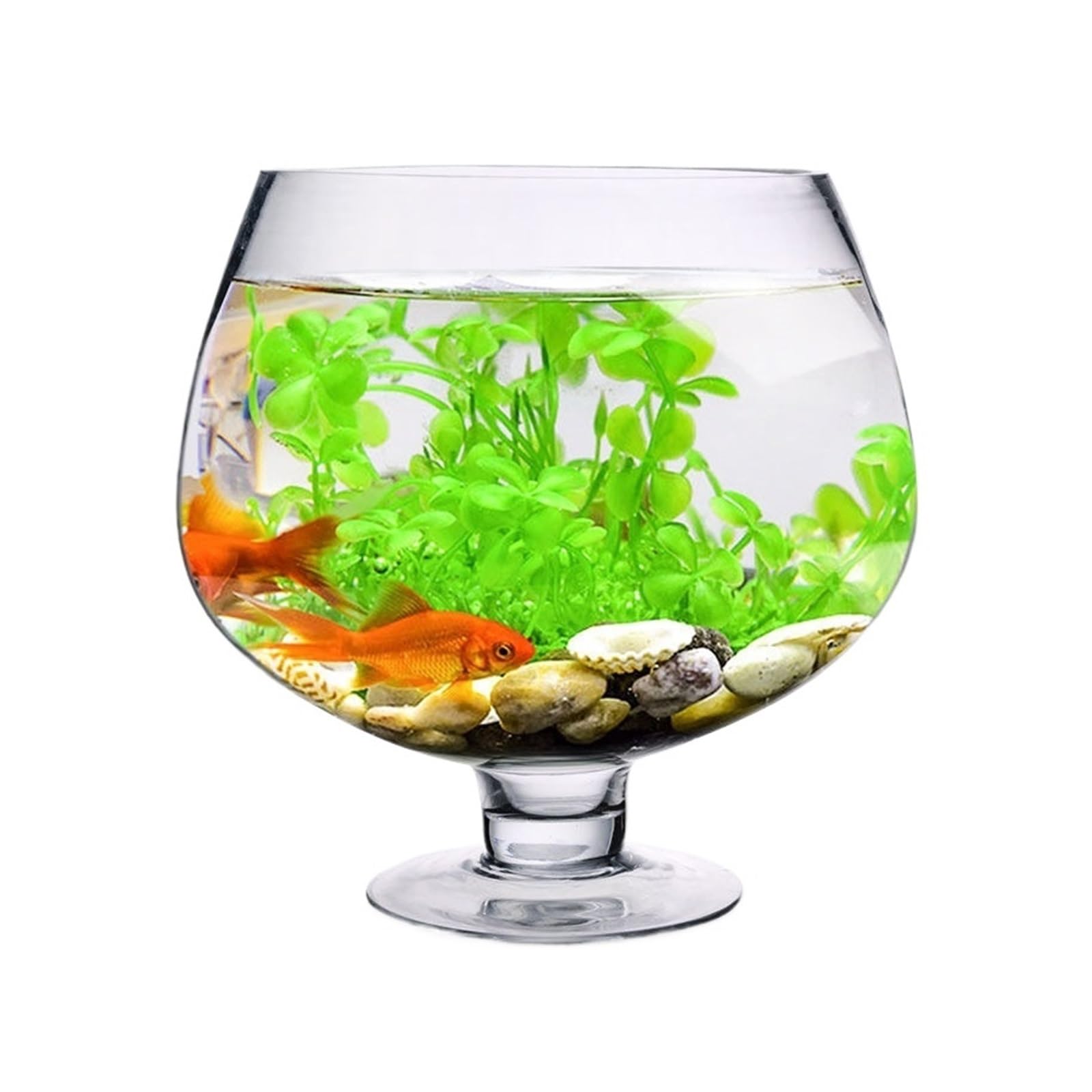 Acquario per Pesci Piccolo Acquario in Vetro Trasparente Addensato for acquari, Soggiorno, Desktop, Acquario for Tartarughe, Design Creativo for Modellare calici Acquari(19cmx13cm)