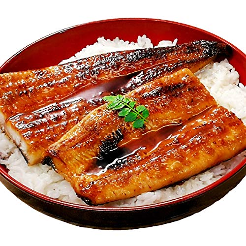 【岩松水産】 国産うなぎ蒲焼 約170g×3尾 特大サイズ 【鹿児島産】