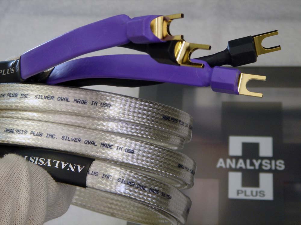 Amazon.co.jp: ビッグシルバーオーバル 1.5m ペア スピーカー