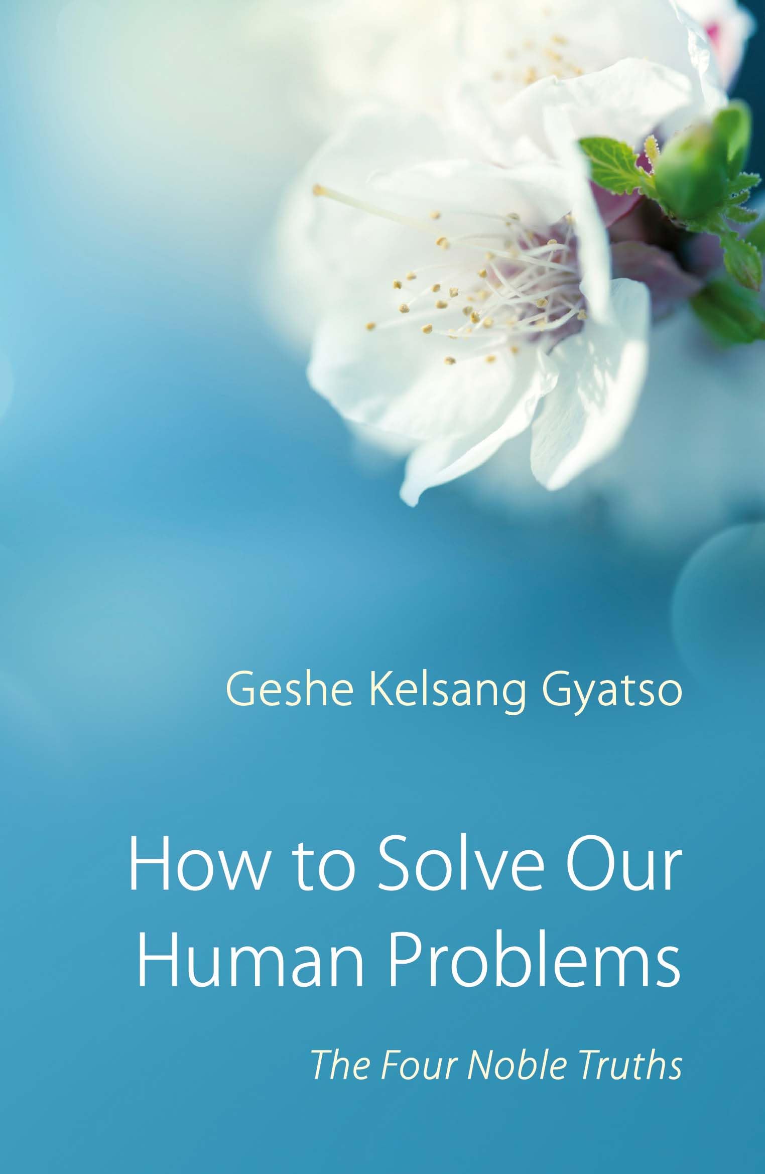 How to Solve Our Human Problems by Geshe Kelsang Gyatso (Paperback Book)