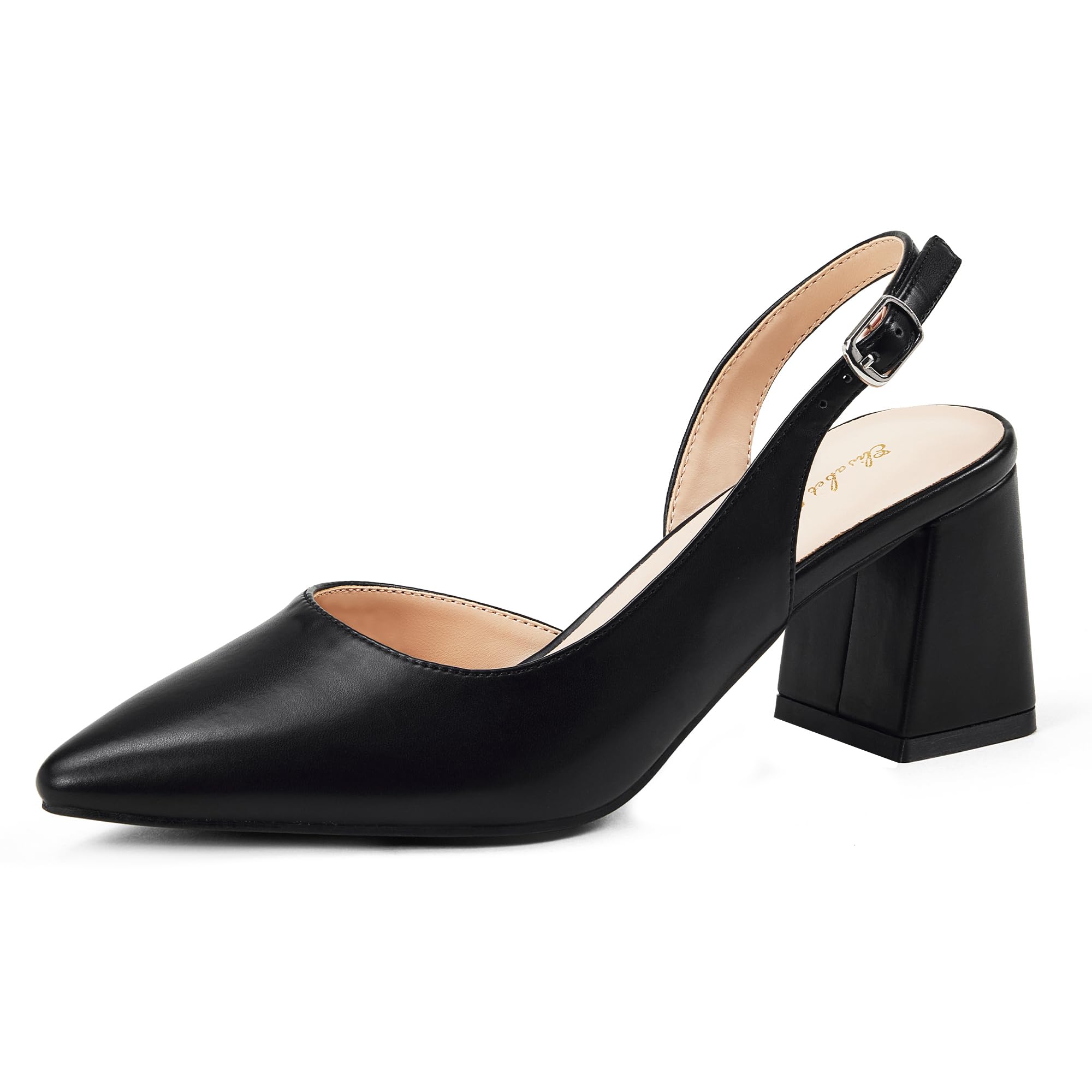 Elisabet Tang Women's Pumps Slingback 2 Inches Block Chunky Heels with Closed Pointed Toe Thick Low Pumps Wedding Party Prom Dating Casual Work Dressy