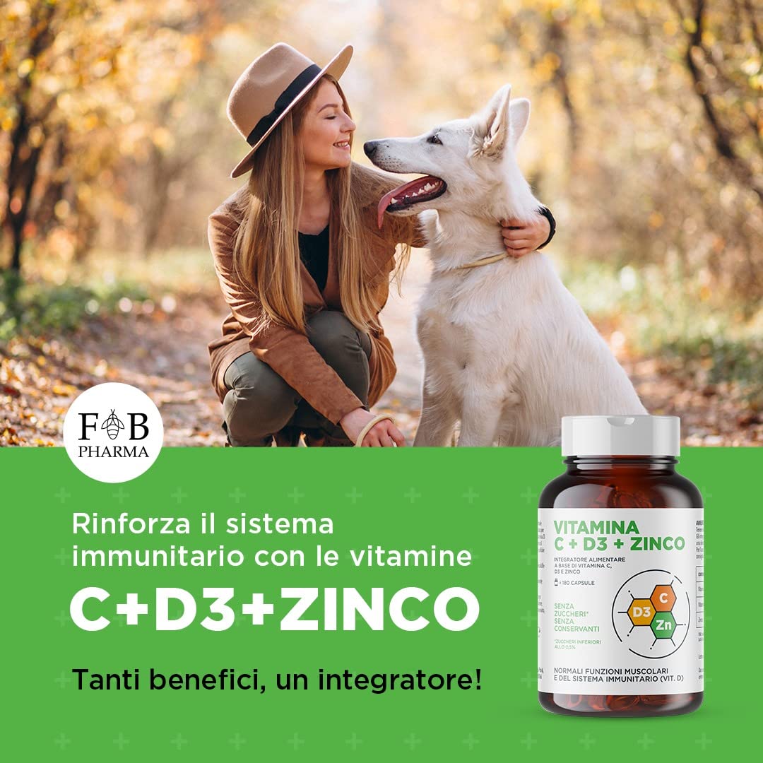 Fortebraccio Pharma Integratore di Vitamina C 1000mg, Vitamina D D3 2000 UI, e ZINCO ALTO DOSAGGIO 360 Capsule (FORMATO SCORTA). Integratore Articolazioni & Ossa, supporto per il sistema immunitario