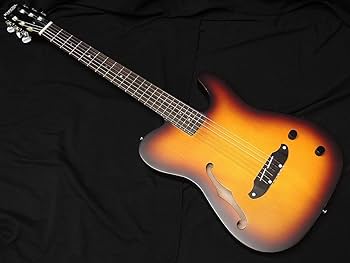 Amazon | SCHECTER OL-FL-N-P TSB ナイロン弦 Oriental Line