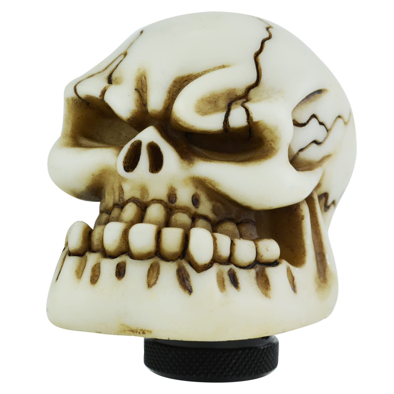 Temzzer Beige Skull Resin Car Gear Shift Lever Handle Heavy Shiny Transmission Gear Shifter Knob For Most Manual Automotive Vehicles (Beige)