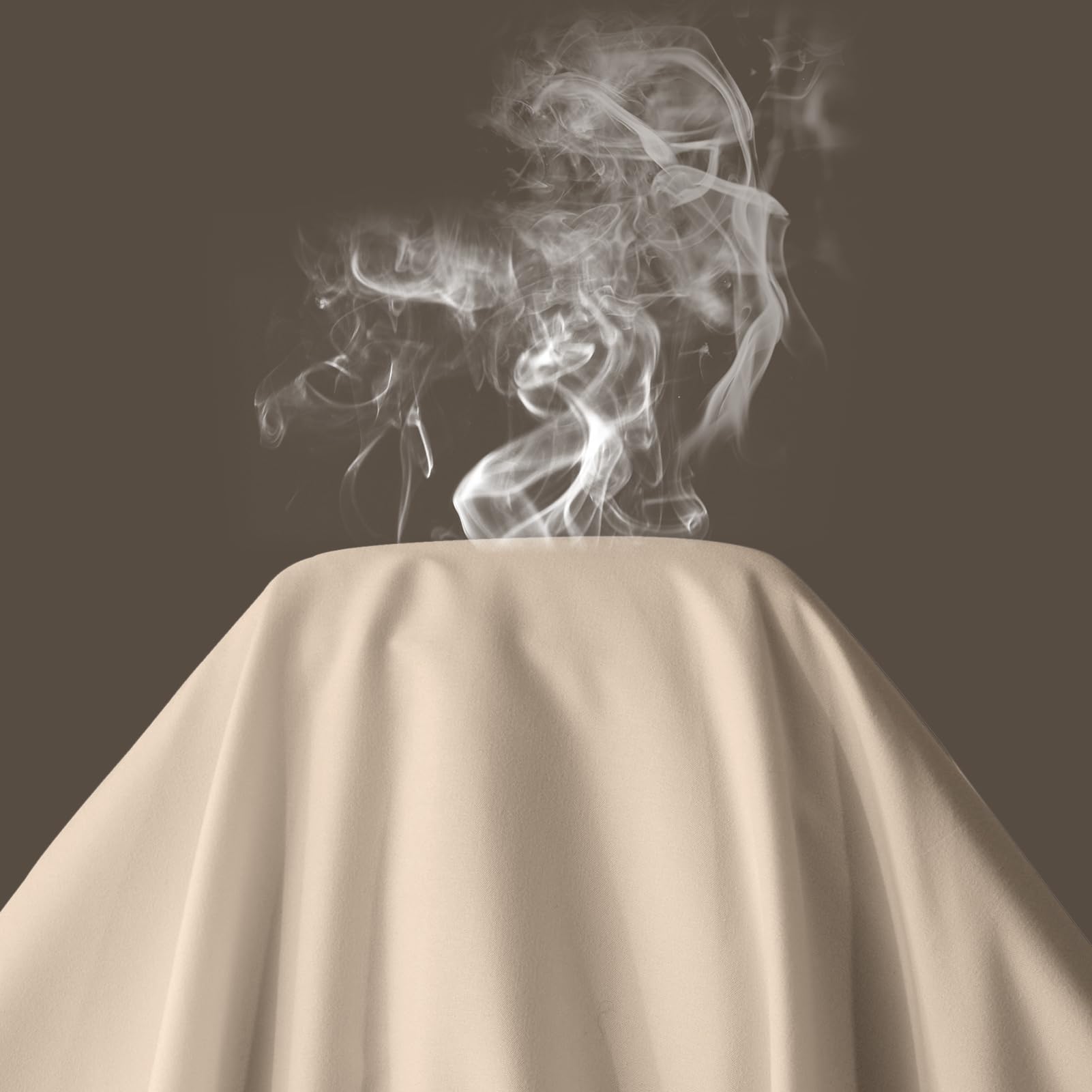 Maple&Stone Twin Flat Sheet 6 Pack,Premium Soft & Breathable,Brushed Microfiber Fabric,Anti-Shrinkage & Non-Fading,Bulk Flat Sheets Only Twin Size (White): Beige Twin