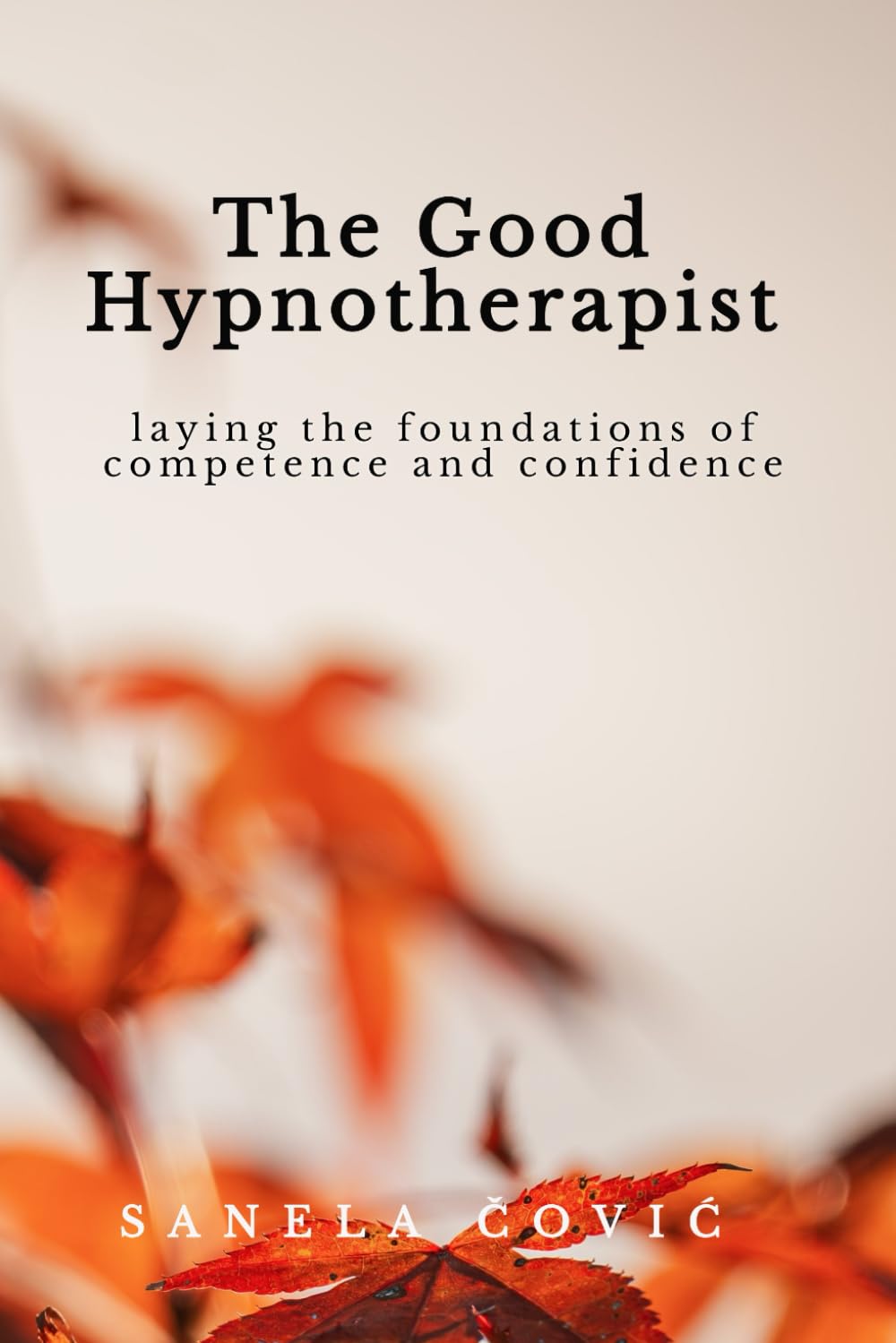 The Good Hypnotherapist: Laying the Foundations of Competence and Confidence