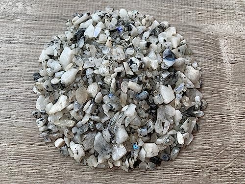 Image of GAF TREASURES 2 oz Lot Natural Semi Tumbled Gemstone Chips, Crushed Mini Crystals, Undrilled Crystal Chips (Rainbow Moonstone)