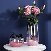 Vista 2 de BITWIT Jarrones para decoración, jarrón de cristal rosa, jarrón creativo y simple, adecuados para decoración del hogar, sala de estar, entrada, mesa