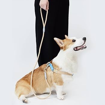 Perfect Pals 犬用カラフルハーネスとリードセット Perfect Pals 犬用カラフルハーネスとリードセット