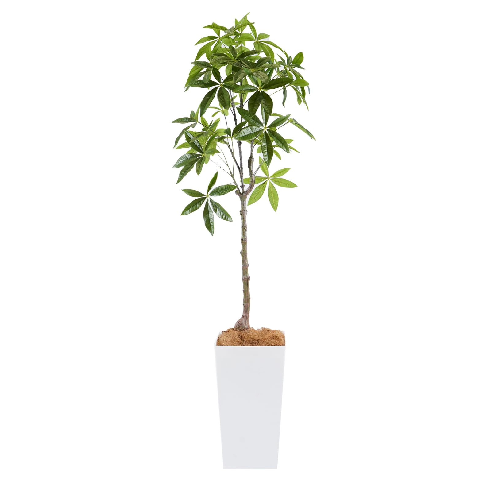Amazon｜Botanical life+ フェイクグリーン 観葉植物 光触媒 大型 消臭 