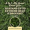 O.M. Scott and Sons Bermudagrass Grass Seed, Fertilizer and Soil Improver, Drought Tolerant Once Established, Covers Up to 2,000 sq. ft., 5 lbs. #4