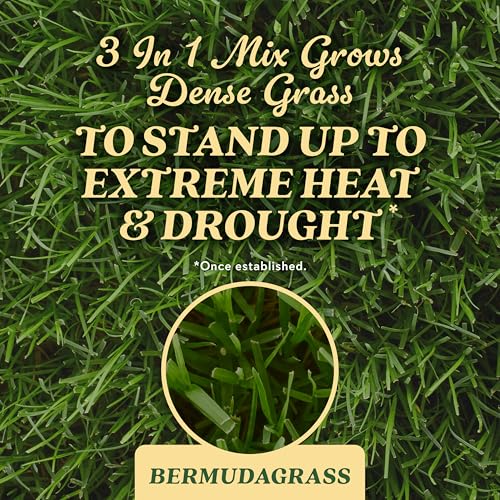 Image of O.M. Scott & Sons Bermudagrass Grass Seed, 5 lbs.