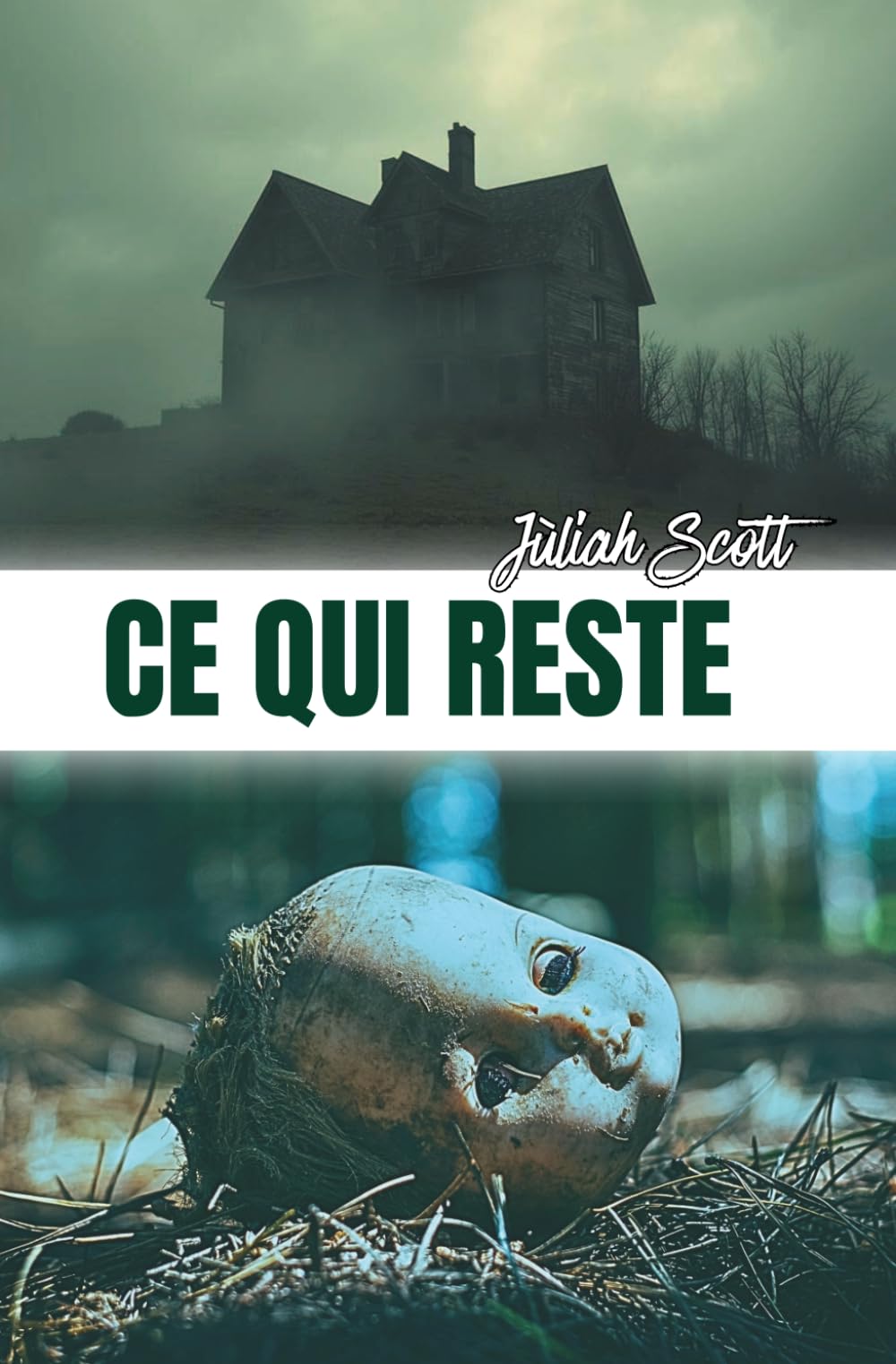 Ce qui reste: Un thriller psychologique domestique