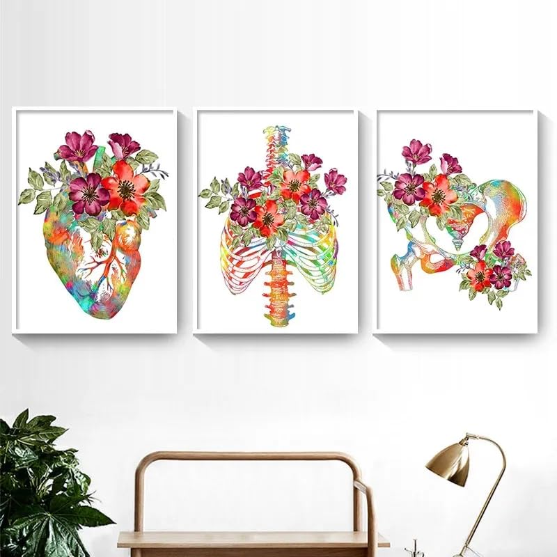 Toile anatomie cœur fleurie décoration murale clinique affiche triptyque médicale 40x50cm