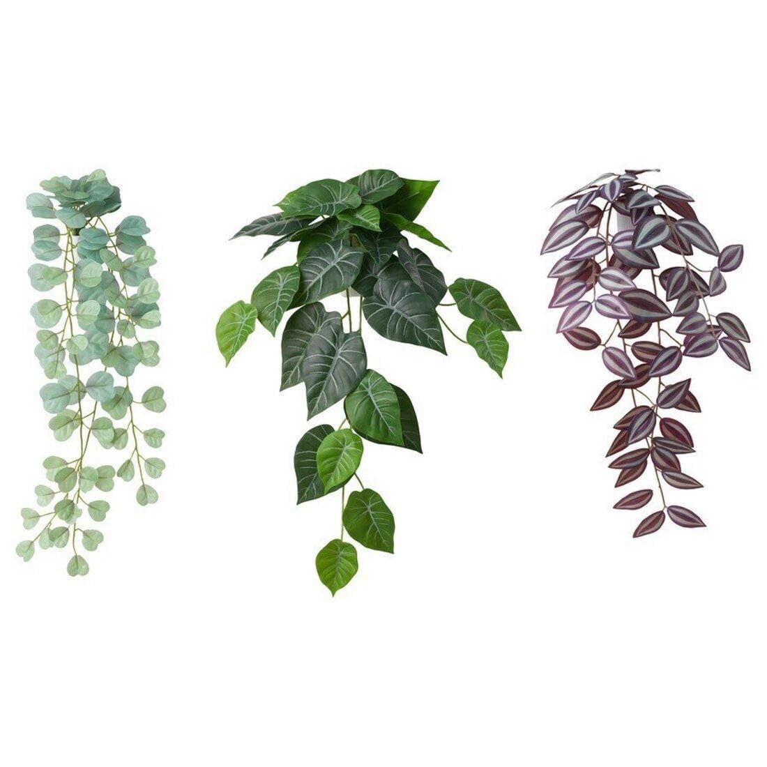 Amazon｜IKEA/イケア FEJKA：人工観葉植物/ウォールホルダー付き 3