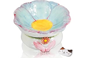 Flower Pet Elevated Ceramic Cat Bowls for Indoor Cats